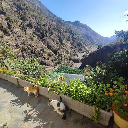 Rivendell Eco Lodge El Paso Luaran gambar