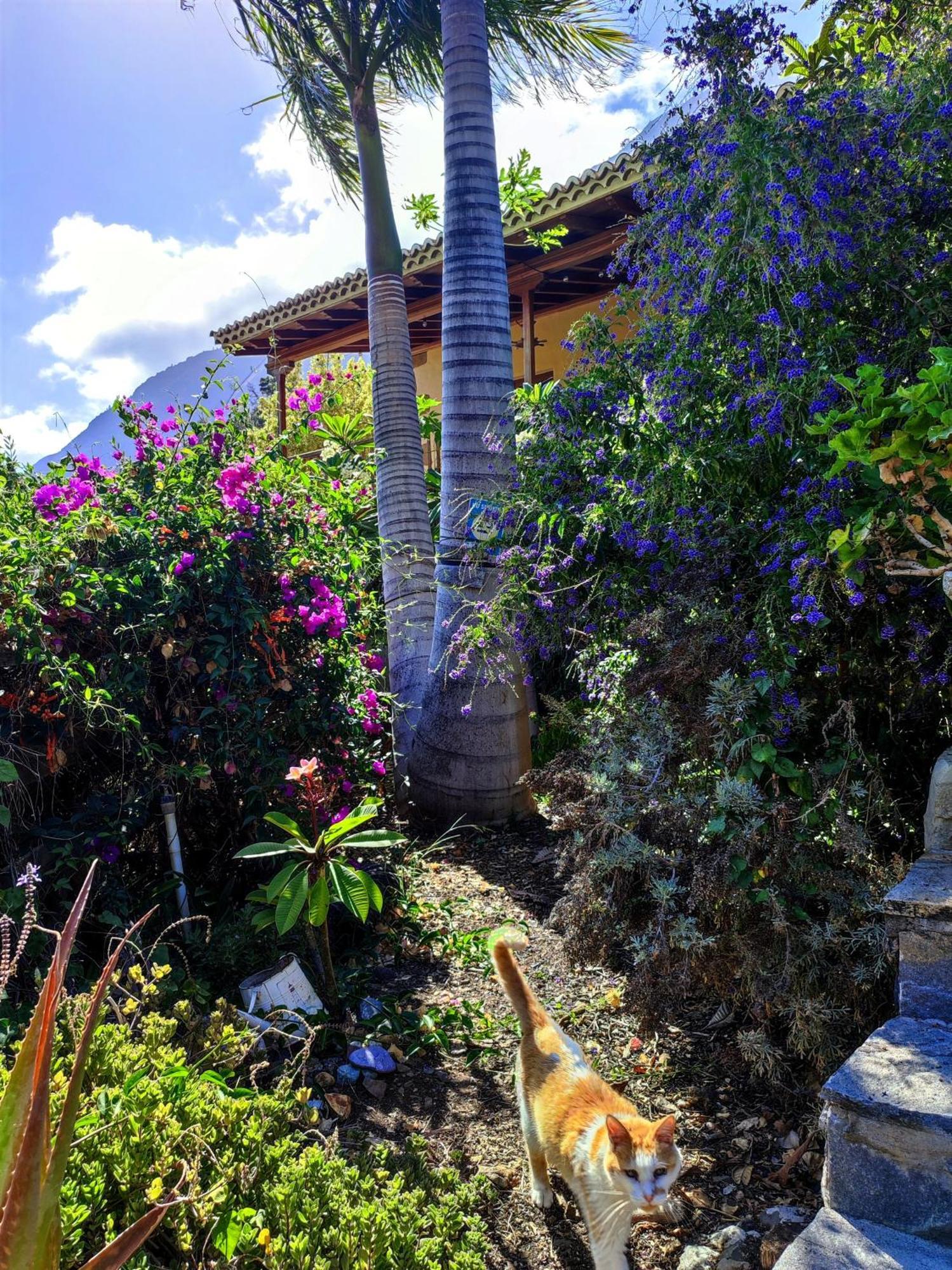 Rivendell Eco Lodge El Paso Luaran gambar