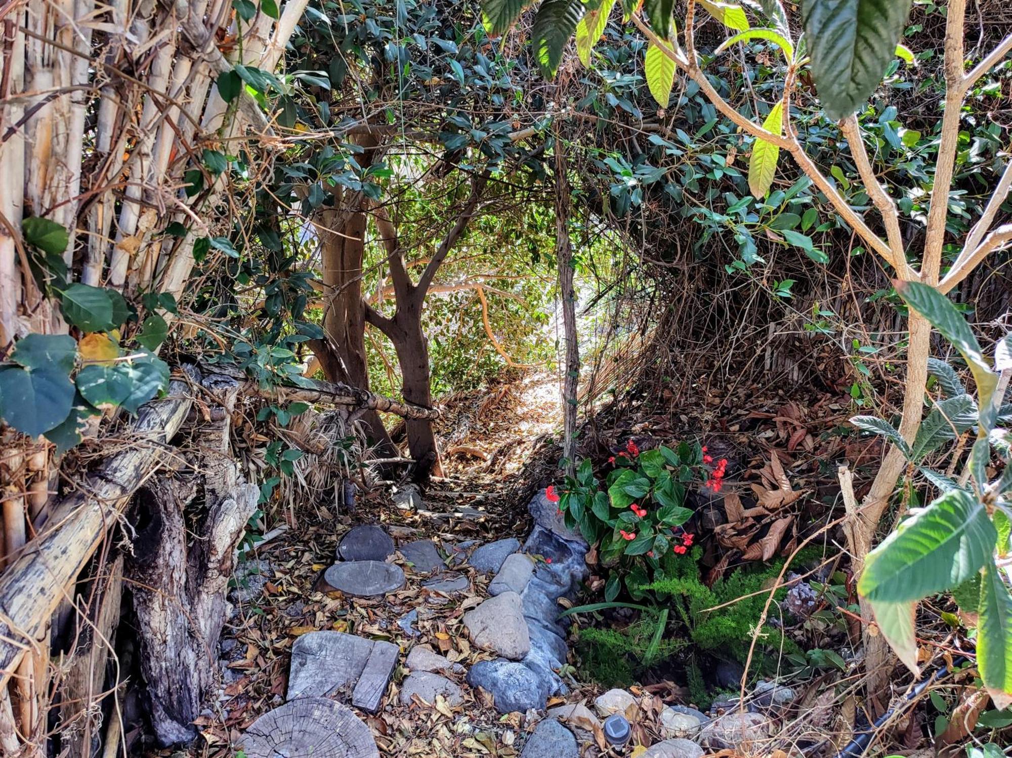 Rivendell Eco Lodge El Paso Luaran gambar