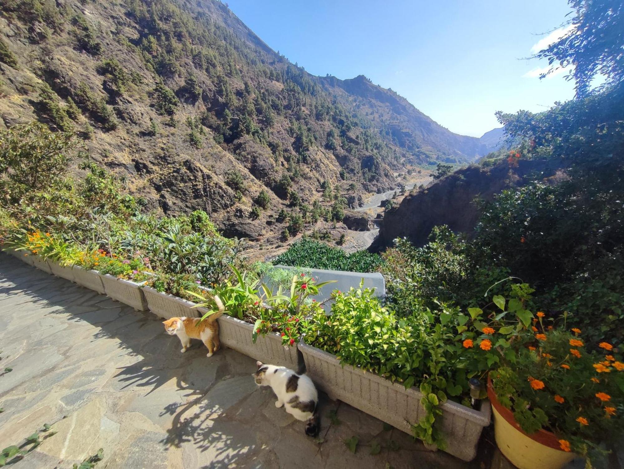 Rivendell Eco Lodge El Paso Luaran gambar